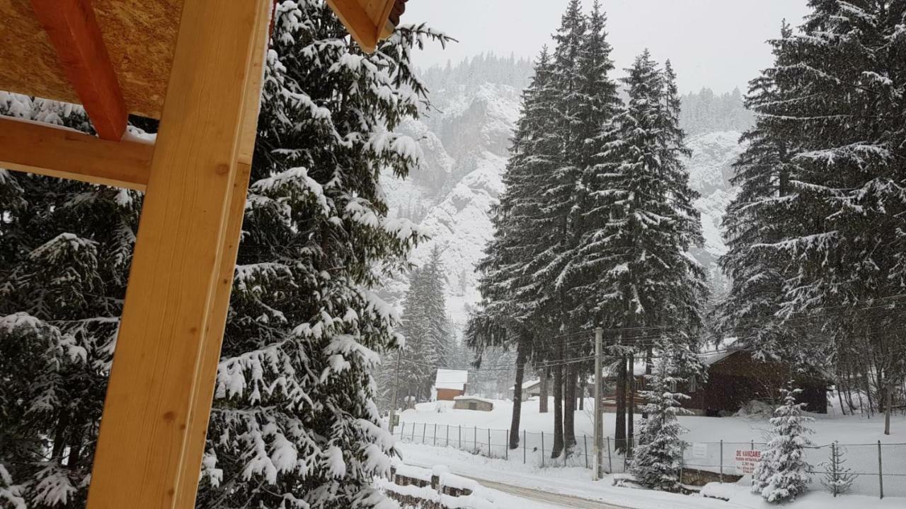 Casa Bicajeanului - Lacu Rosu Exteriér fotografie