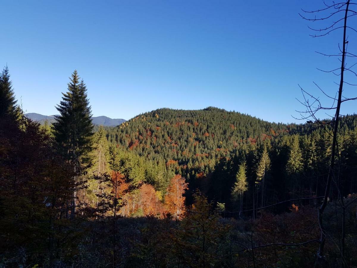 Casa Bicajeanului - Lacu Rosu Exteriér fotografie