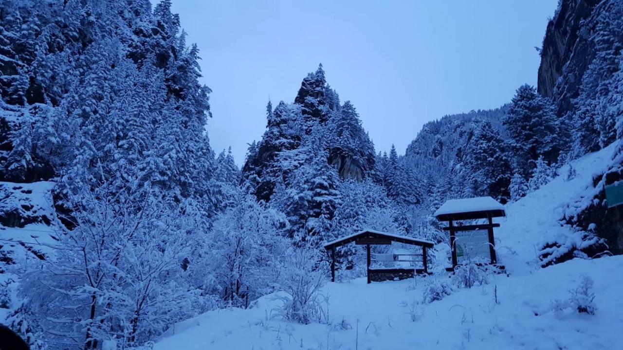 Casa Bicajeanului - Lacu Rosu Exteriér fotografie